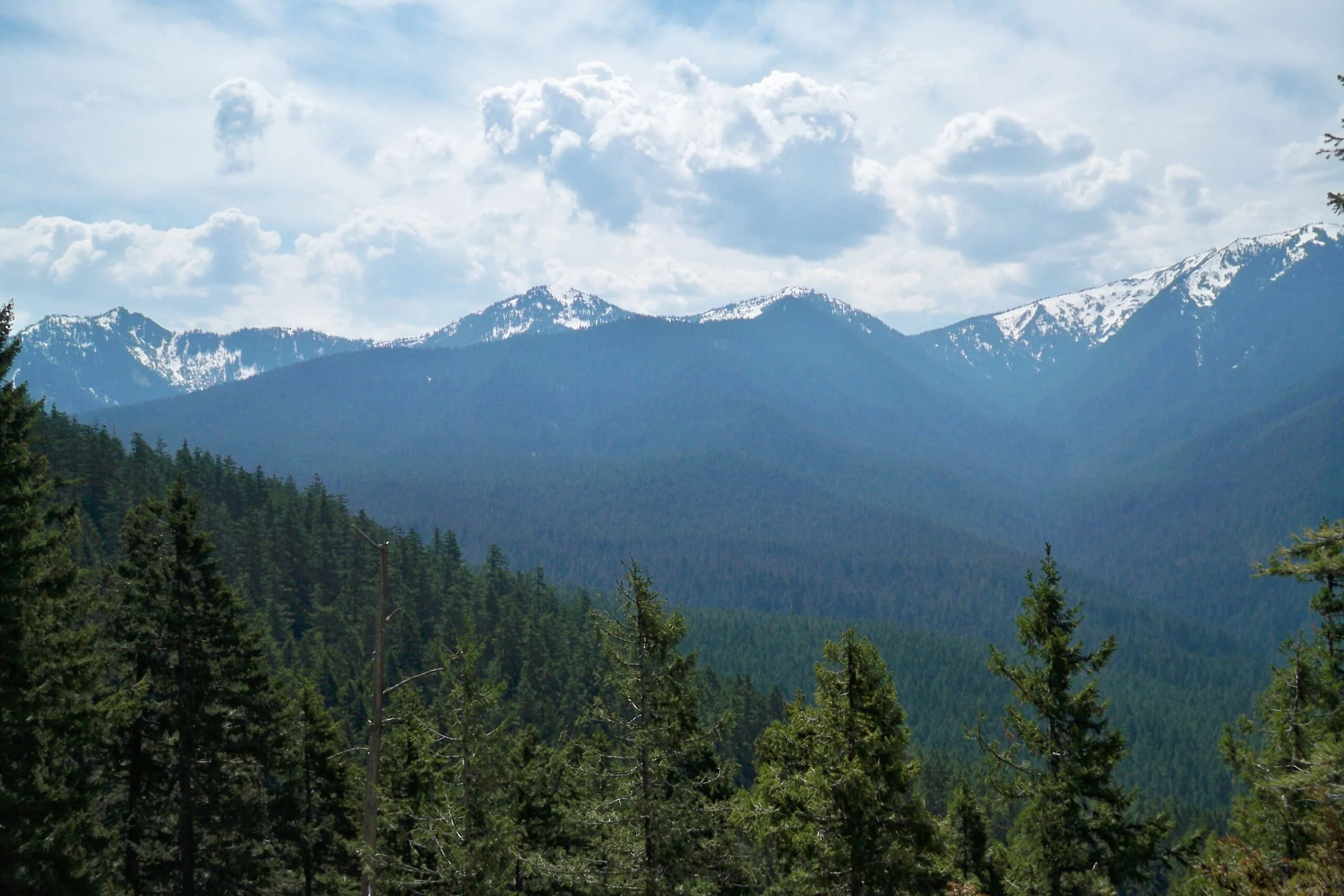 El Ajusco